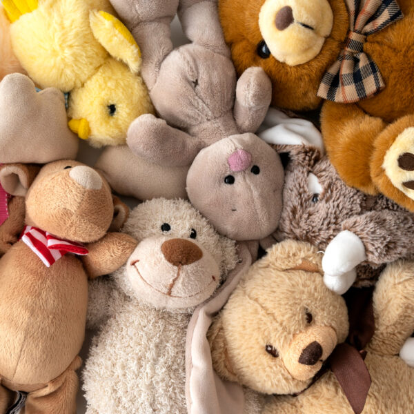 Doação de brinquedos Nicolândia