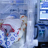 UTI neonatal do Hmib