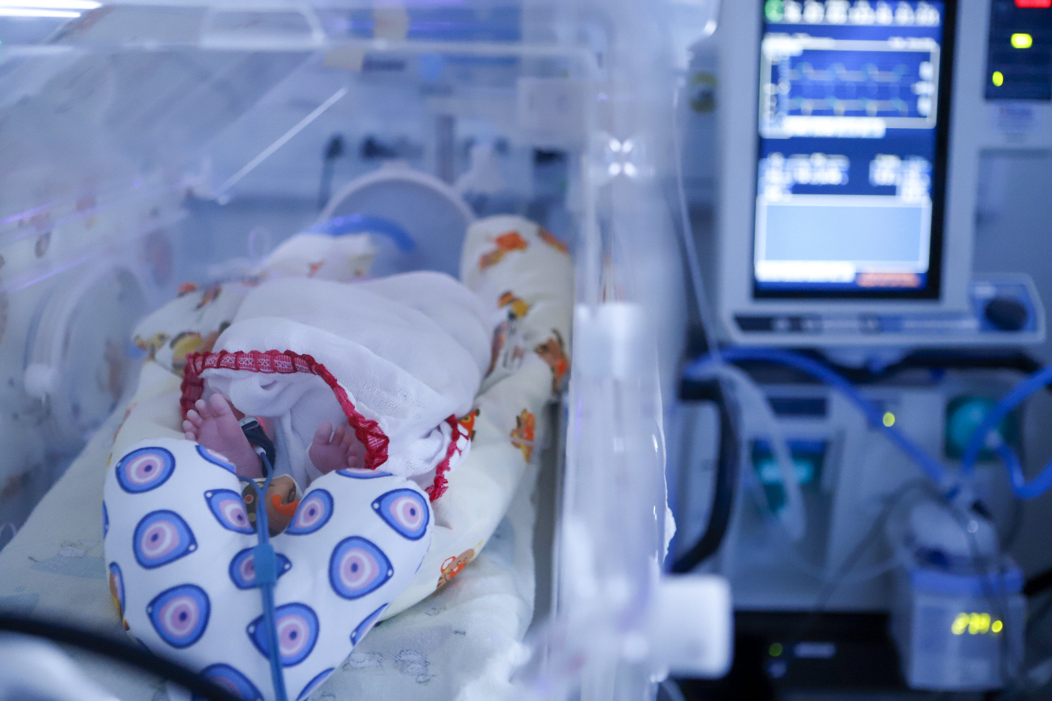 UTI neonatal do Hmib