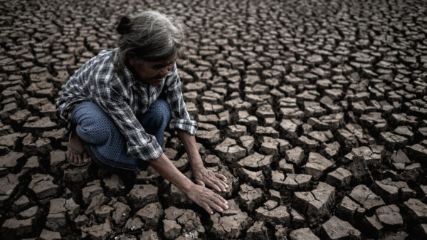 idosos aquecimento global