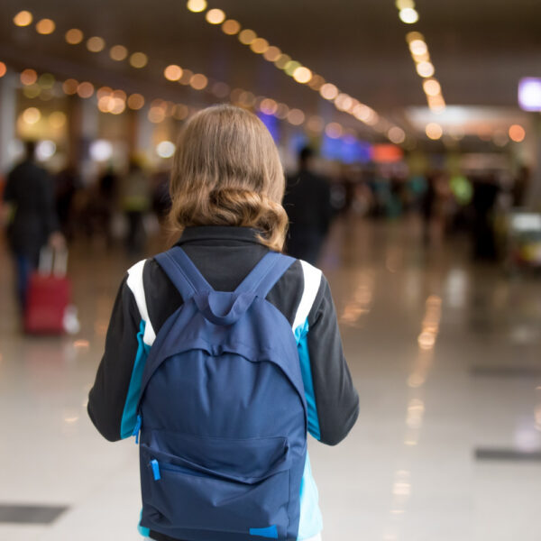 Autorização Eletrônica de Viagem (AEV)