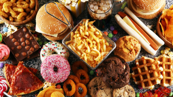 alimentos ultraprocessados