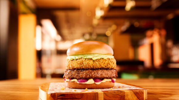 Catupiry Madness Burger