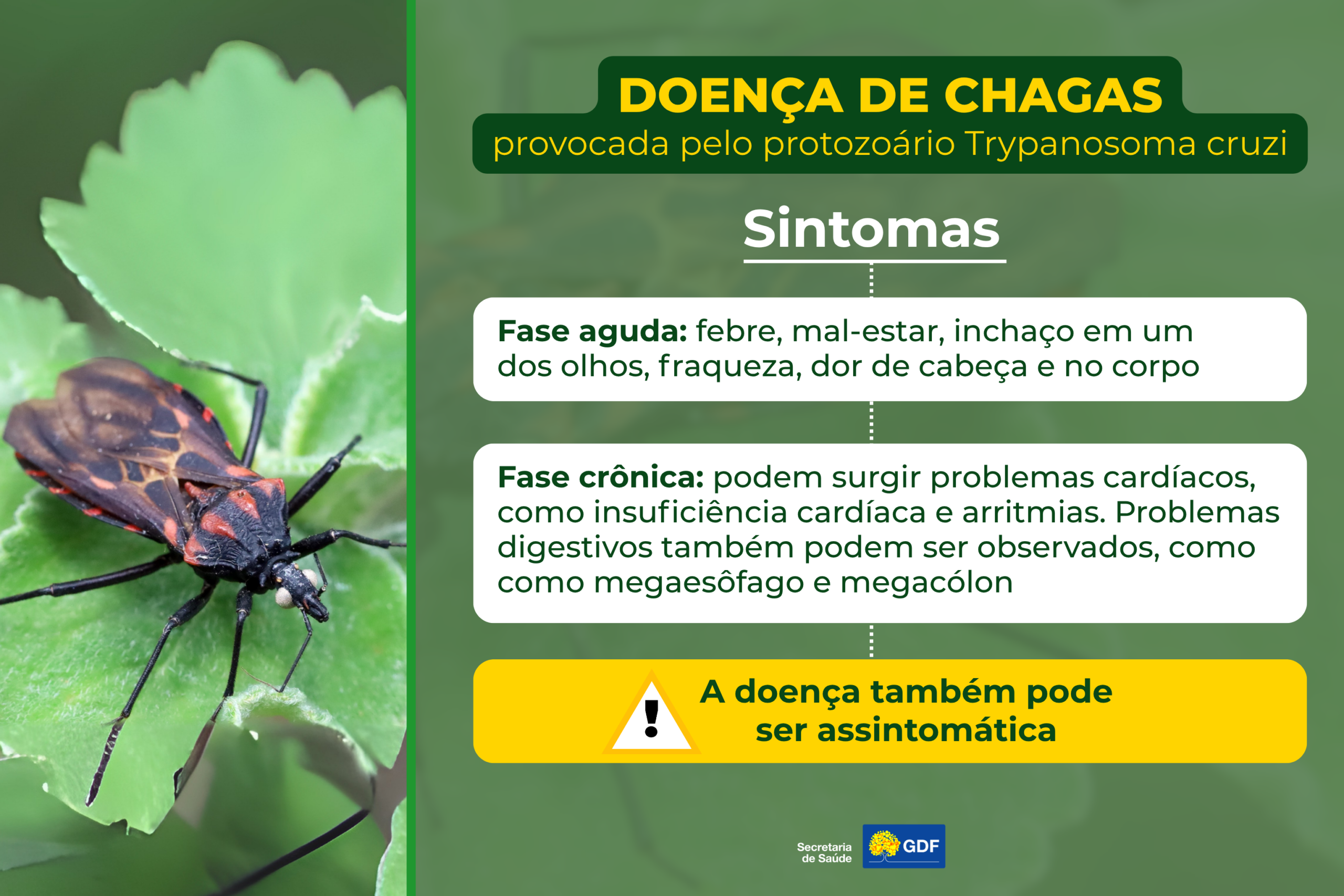 Doença de Chagas sintomas